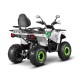 Квадроцикл GLADIATOR F200 LONG белый Квадроцикл GLADIATOR F200 LONG белый
