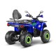 Квадроцикл GLADIATOR F200 LONG синий Квадроцикл GLADIATOR F200 LONG синий