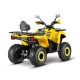 Квадроцикл GLADIATOR F200 LUX жёлтый (Тверь)