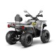 Квадроцикл GLADIATOR F200 серый (Тверь) Квадроцикл GLADIATOR F200 серый (Тверь)
