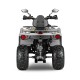 Квадроцикл GLADIATOR F200 серый (Тверь) Квадроцикл GLADIATOR F200 серый (Тверь)