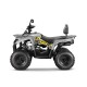 Квадроцикл GLADIATOR F200 серый (Тверь) Квадроцикл GLADIATOR F200 серый (Тверь)