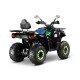 Квадроцикл GLADIATOR F200lux черный Квадроцикл GLADIATOR F200lux черный
